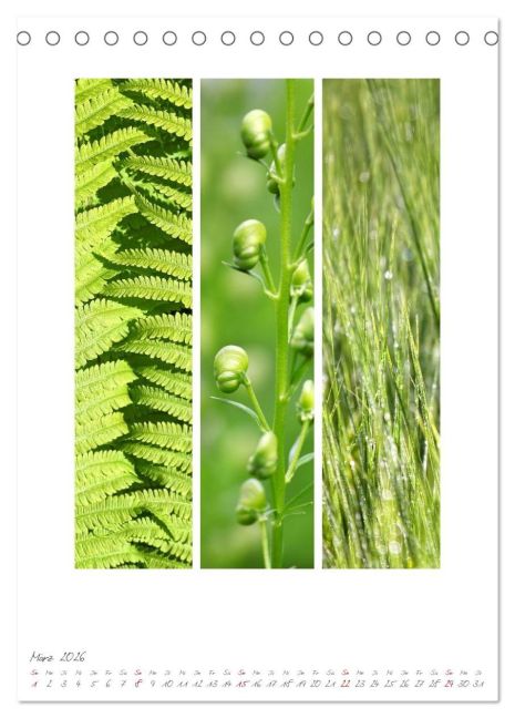 additionalImage8