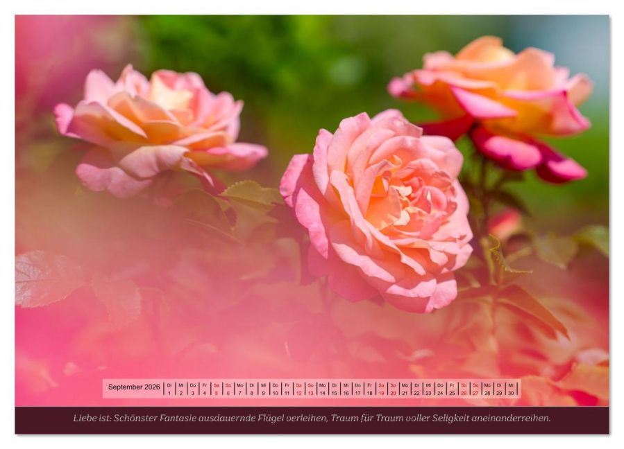 additionalImage13