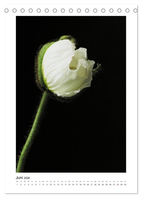 additionalImage11