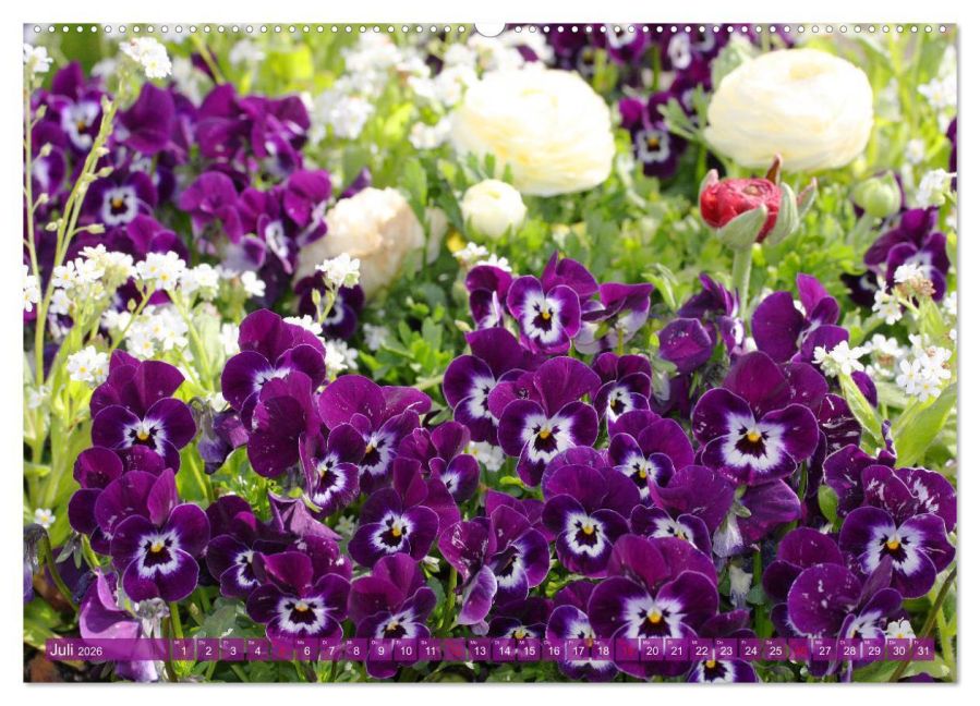 additionalImage11