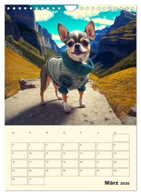 additionalImage8
