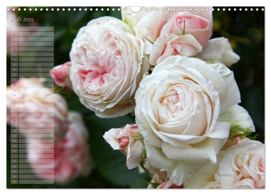 additionalImage12