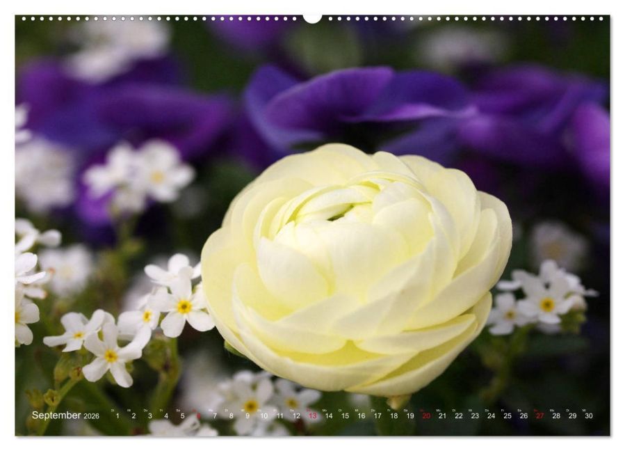 additionalImage14