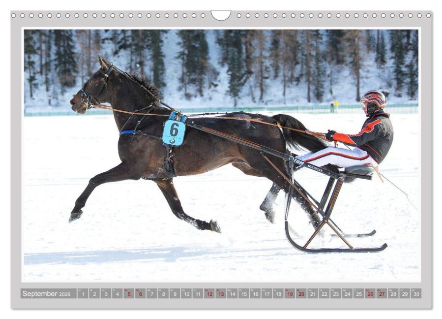 additionalImage14