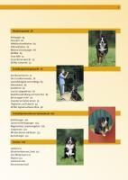 additionalImage2