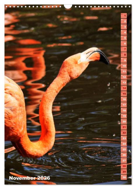 additionalImage3