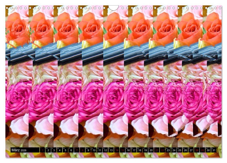 additionalImage8