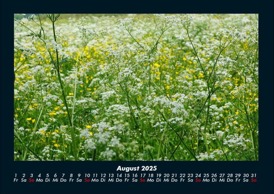 additionalImage12