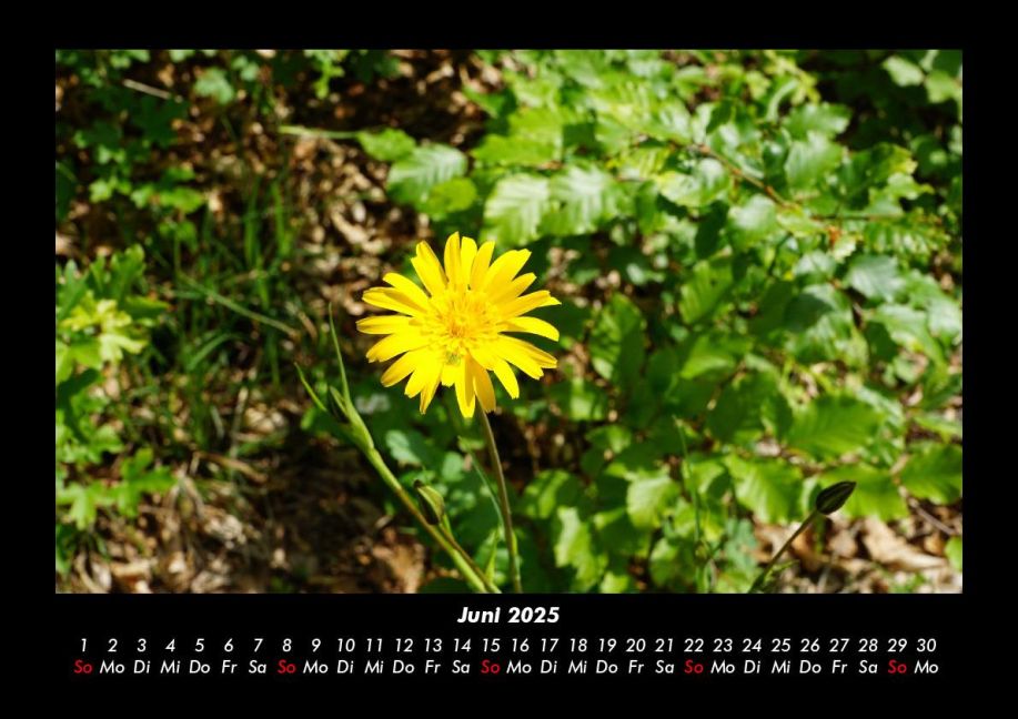 additionalImage10