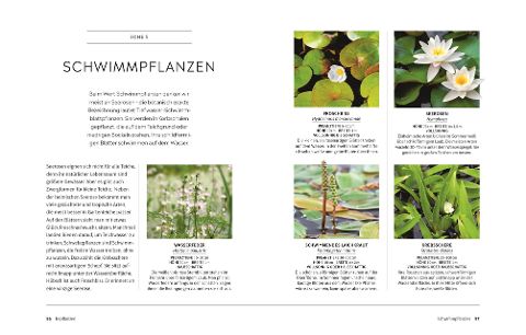 additionalImage7