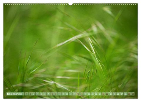 additionalImage2