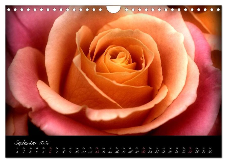 additionalImage11