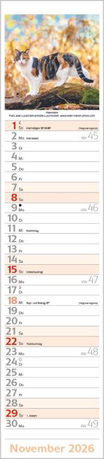 additionalImage11