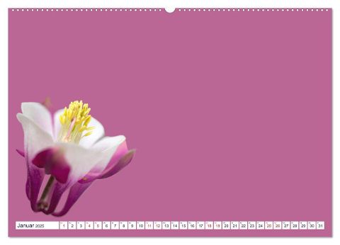 additionalImage5