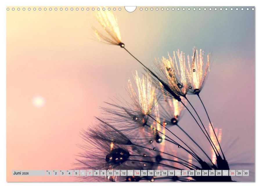 additionalImage11