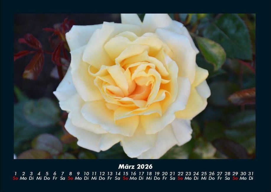 additionalImage7