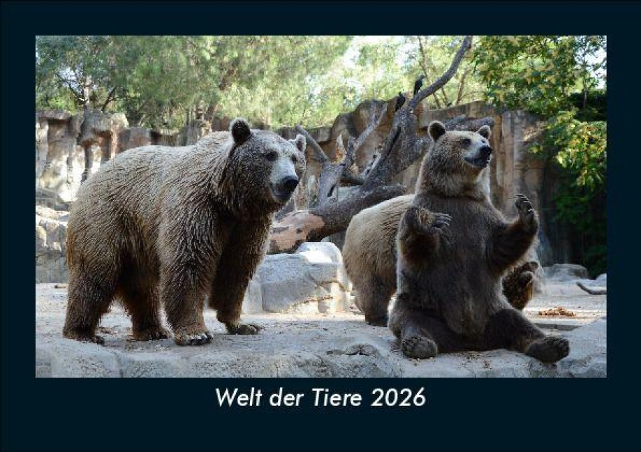 Welt der Tiere 2026 Fotokalender DIN A5 - Tobias Becker