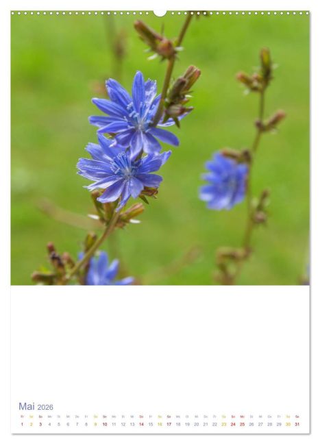 additionalImage9