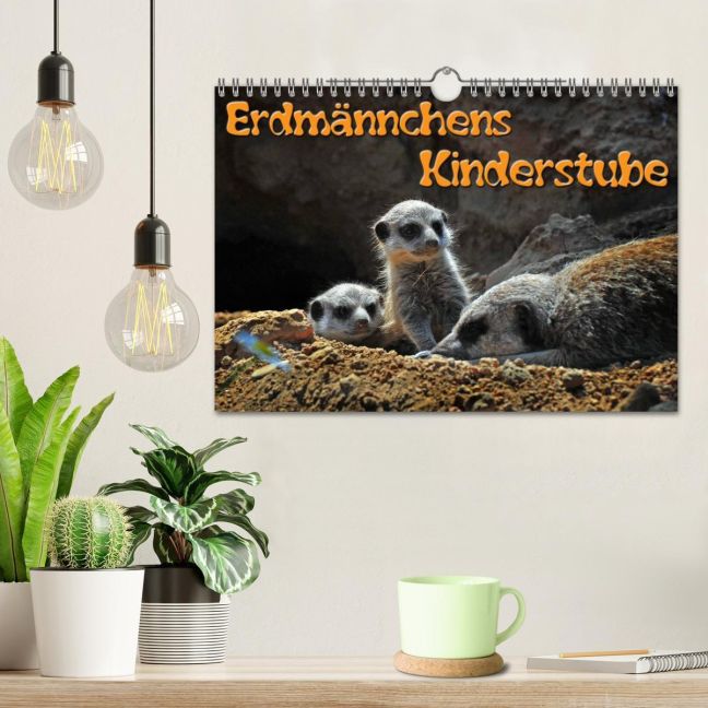 additionalImage1