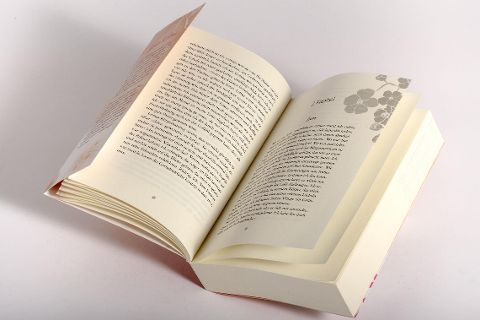 additionalImage12