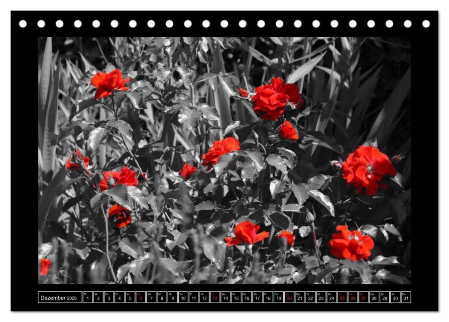 additionalImage4