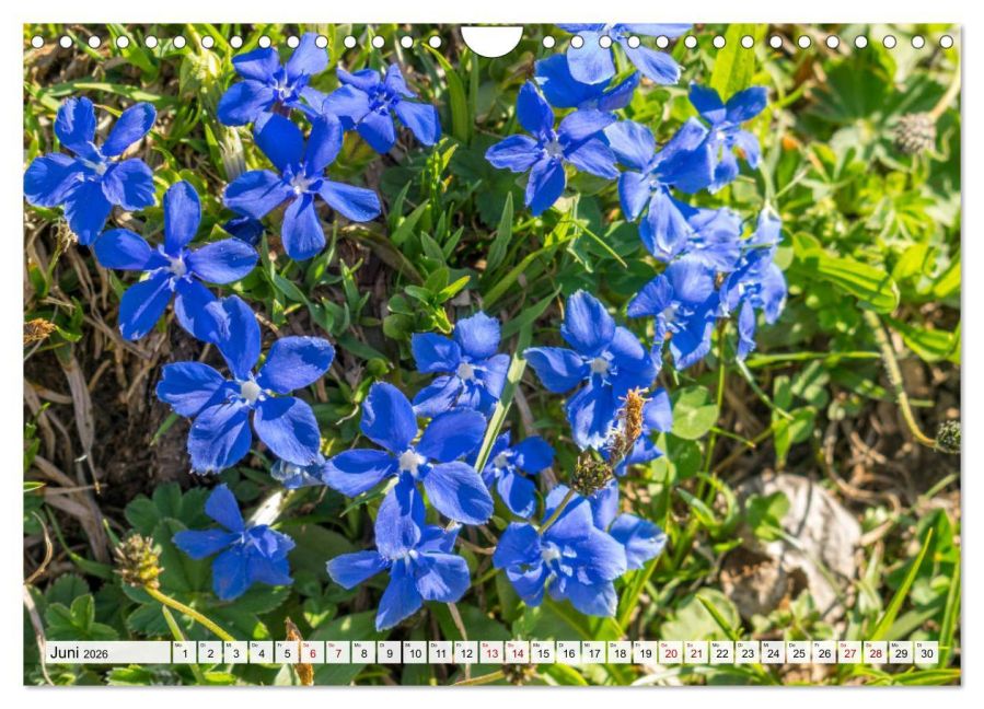 additionalImage11