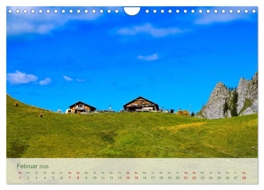 additionalImage7