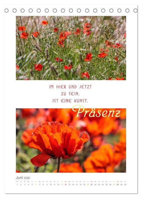 additionalImage11