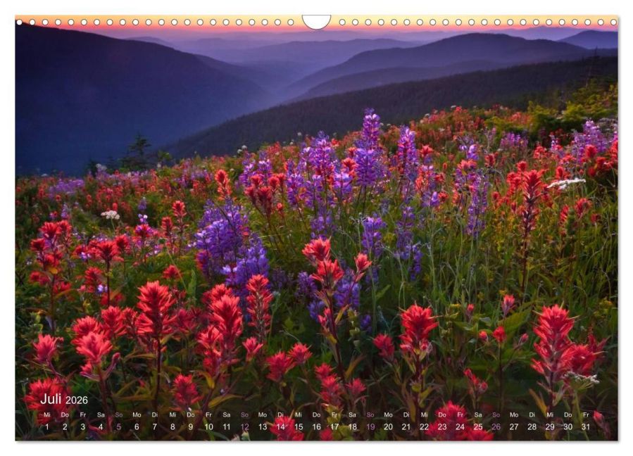 additionalImage12