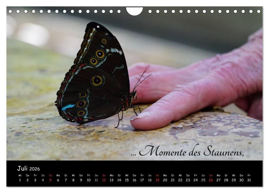 additionalImage12