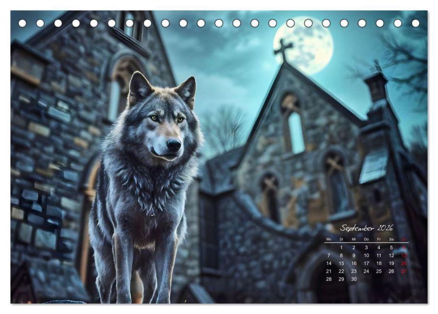 additionalImage14