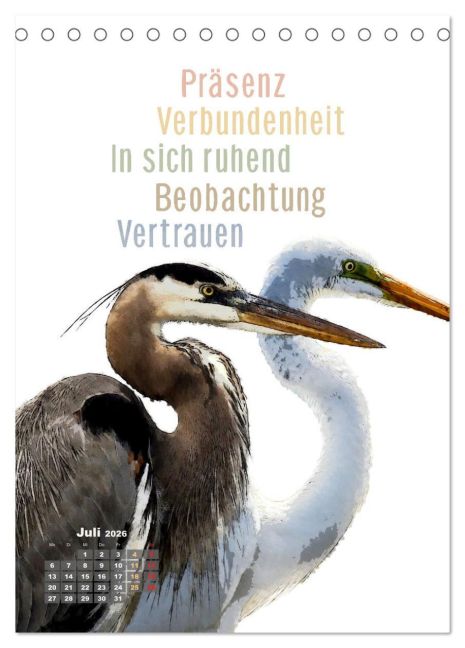 additionalImage12
