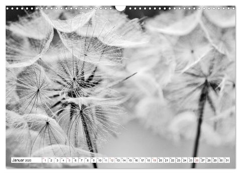 additionalImage6