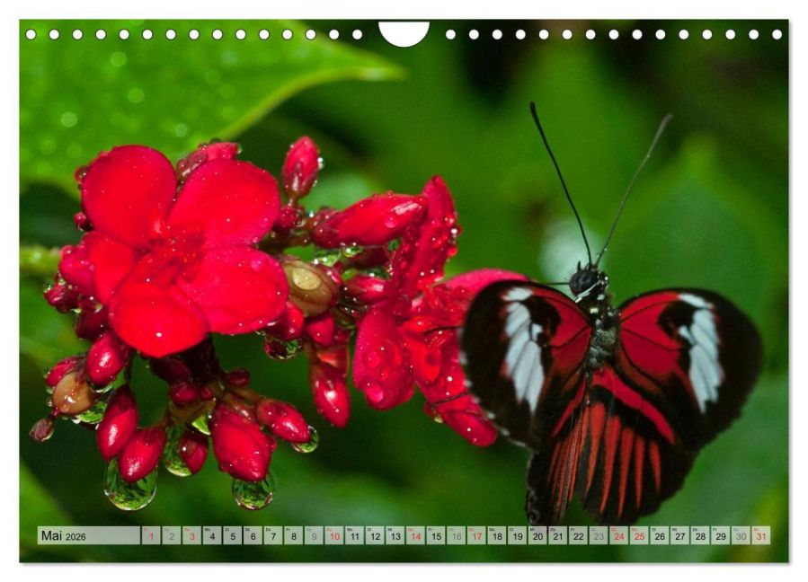 additionalImage10