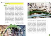 additionalImage4