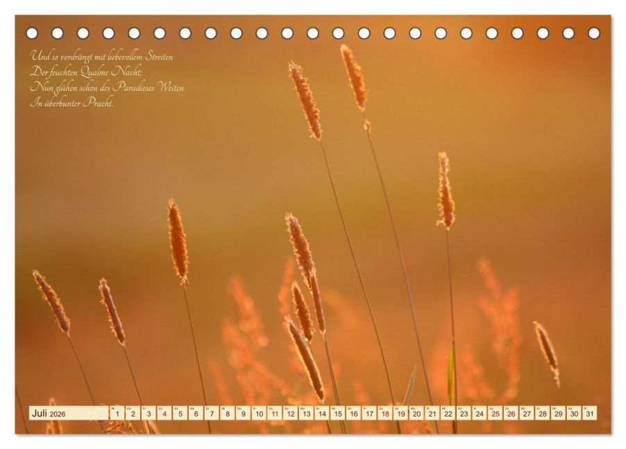 additionalImage12