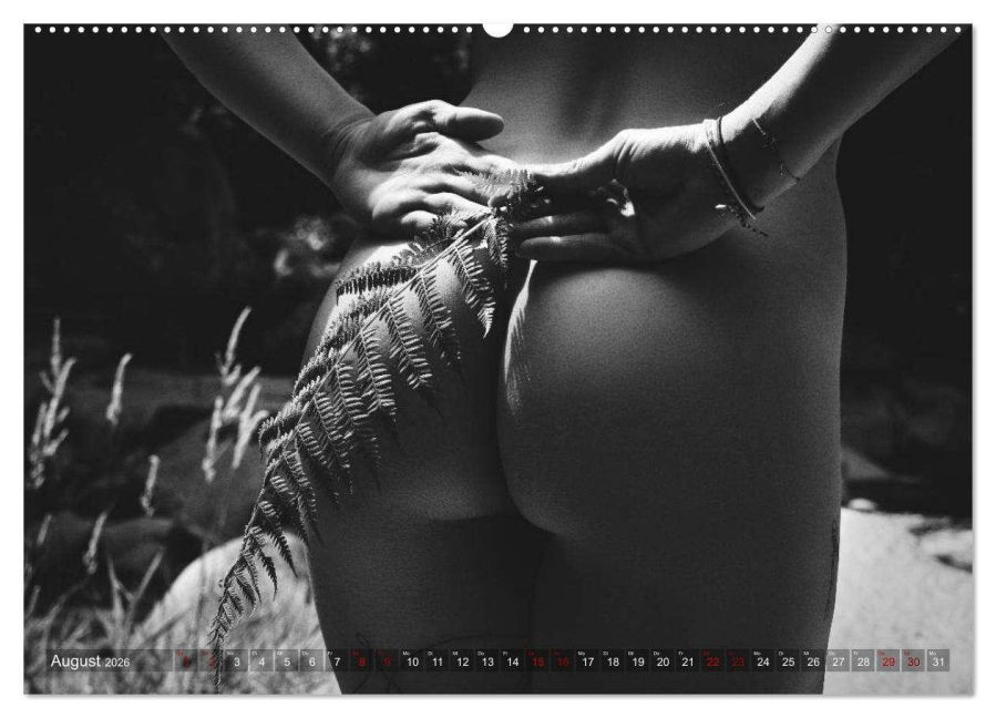 additionalImage13
