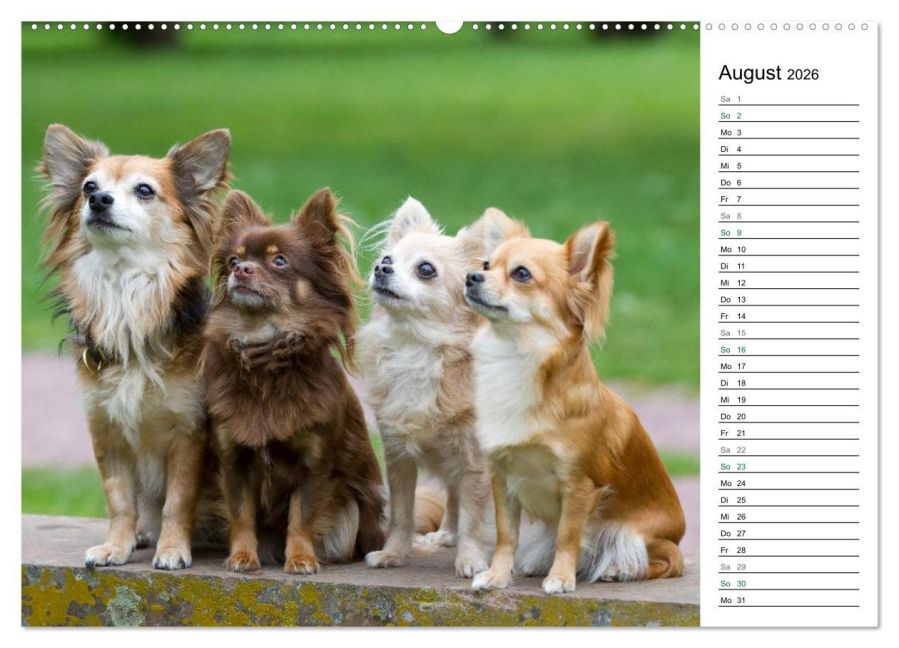 additionalImage12