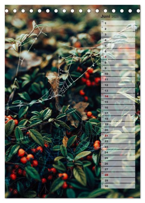 additionalImage11