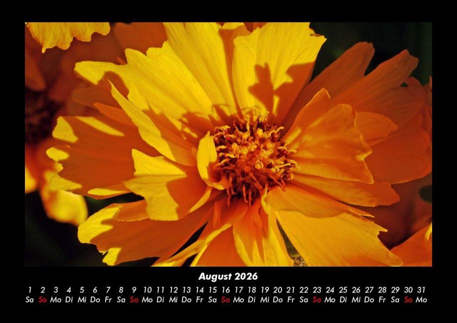 additionalImage12