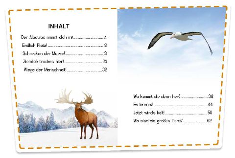 additionalImage1