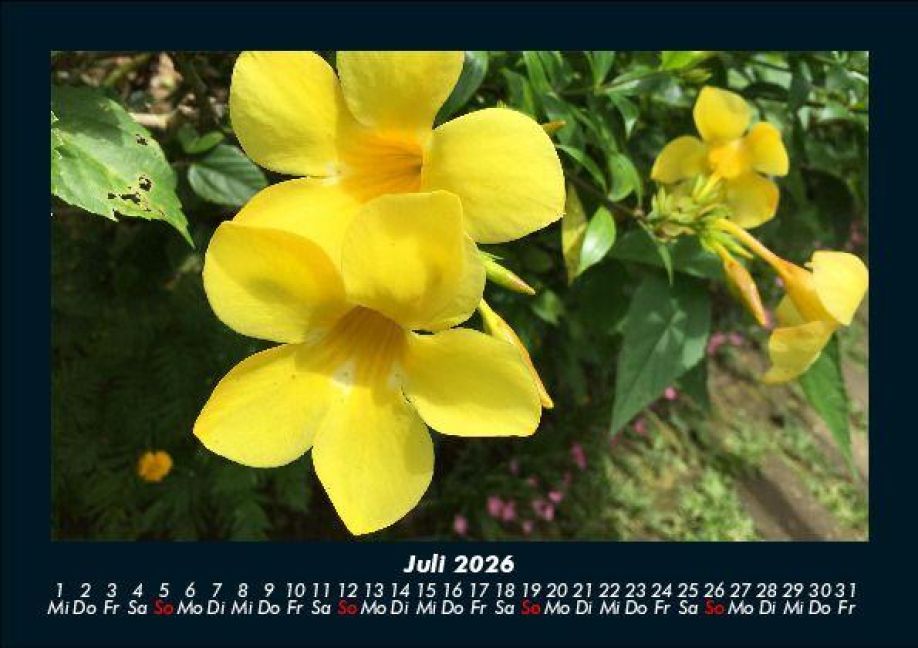additionalImage11