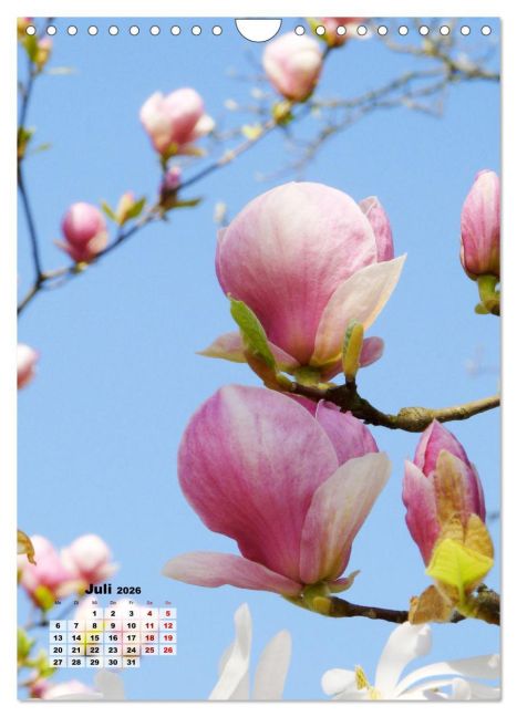 additionalImage12