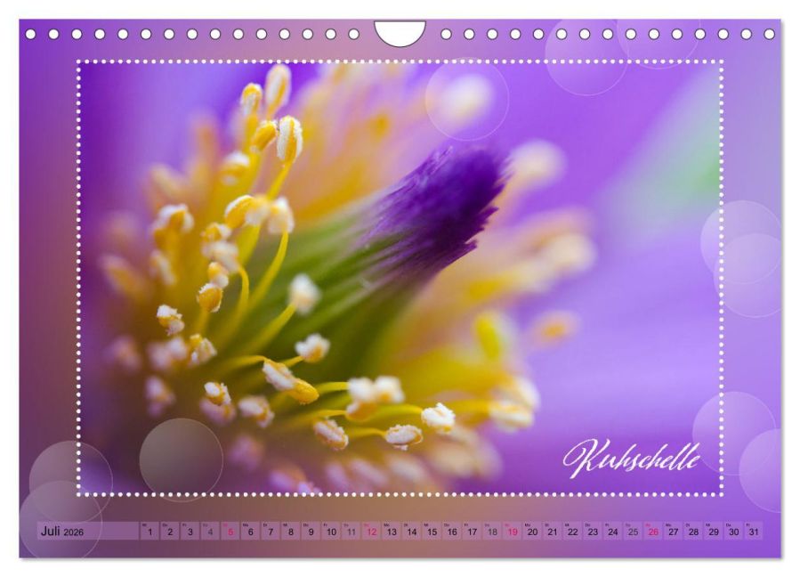 additionalImage12