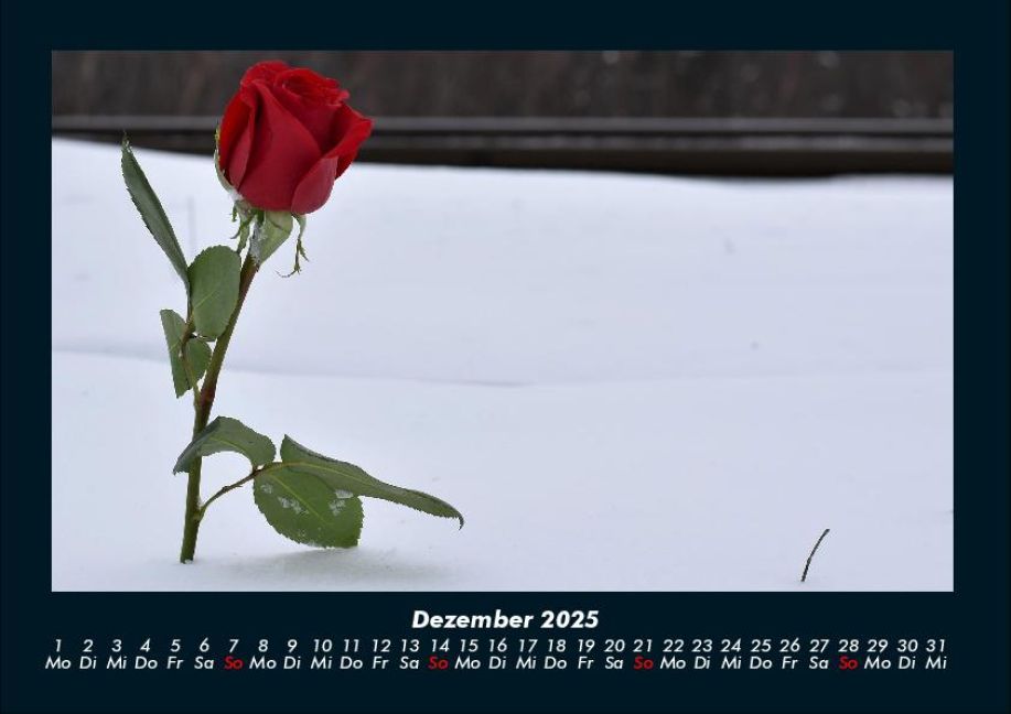 additionalImage4