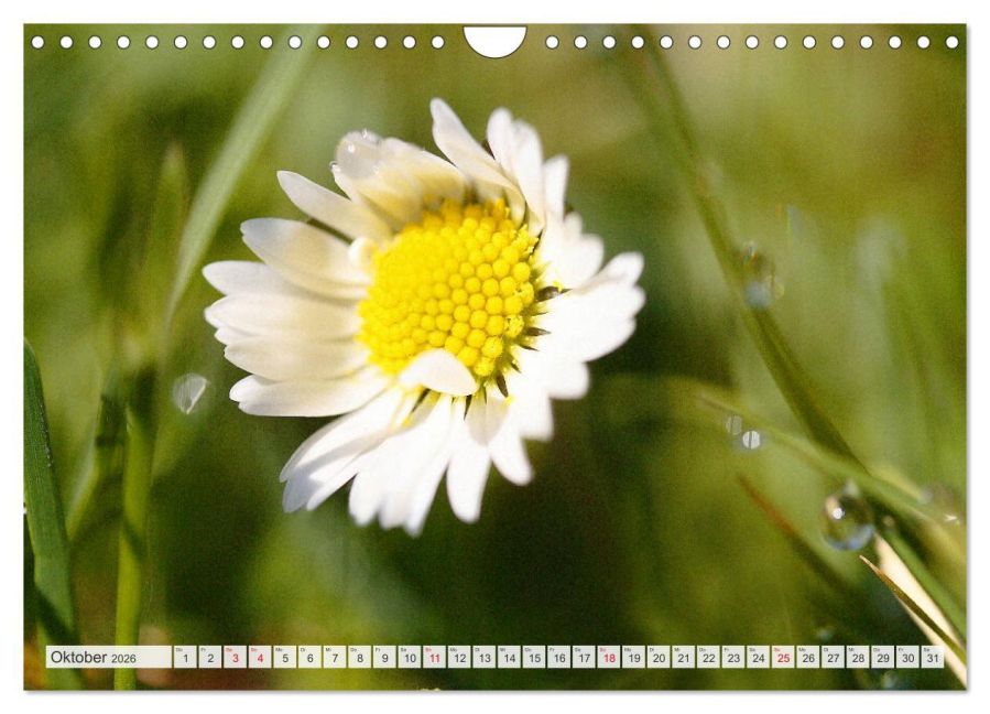 additionalImage2