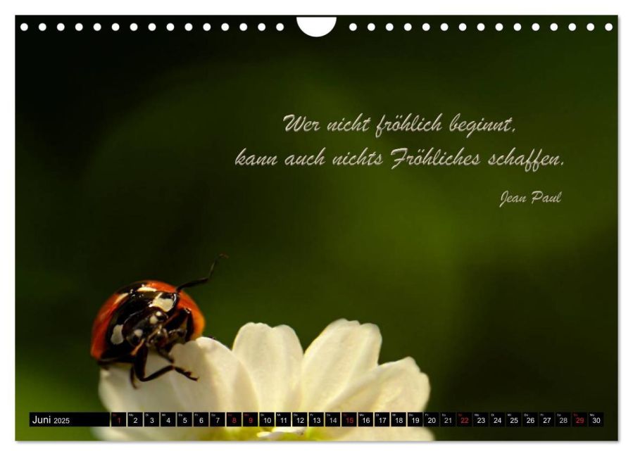 additionalImage11