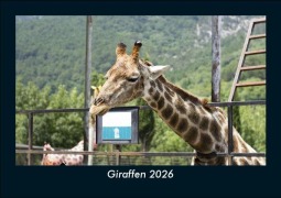 Cover-Bild zum Titel 'Giraffen 2026 Fotokalender DIN A5' von 'Tobias Becker'