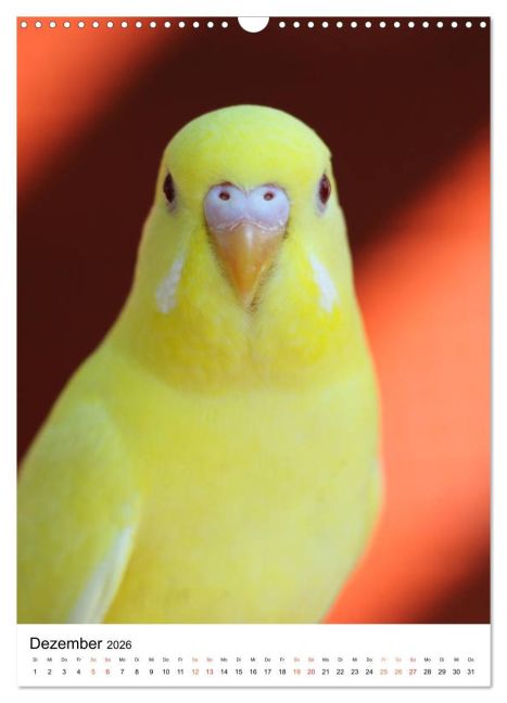 additionalImage4
