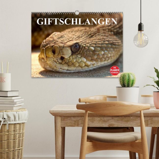 additionalImage1